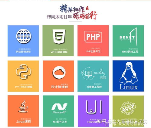 北大青鳥基礎(chǔ)軟件服務(wù)專業(yè)詳解及學(xué)費參考