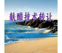 產(chǎn)品庫技術(shù)轉(zhuǎn)讓 優(yōu)勢、要點與實施策略